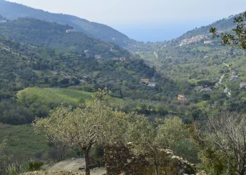 Rustico contrada San Donato, Montecorice - foto 10