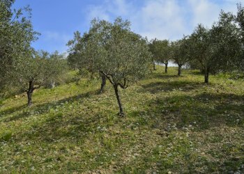 Rustico contrada San Donato, Montecorice - foto 16