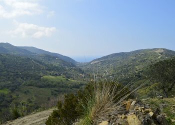 Rustico contrada San Donato, Montecorice - foto 18