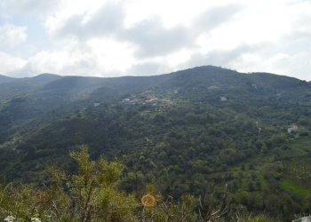 Rustico contrada San Donato, Montecorice - foto 19