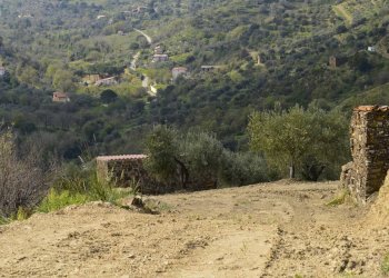 Rustico contrada San Donato, Montecorice - foto 20