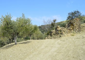 Rustico contrada San Donato, Montecorice - foto 27