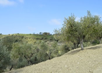 Rustico contrada San Donato, Montecorice - foto 28