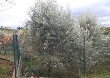 13.jpg - Porzione di casa Strada Passera San Lorenzo Pagino 11, Perugia - foto 13