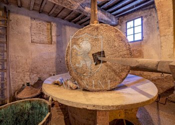 Rustico Castiglione del Lago - foto 12