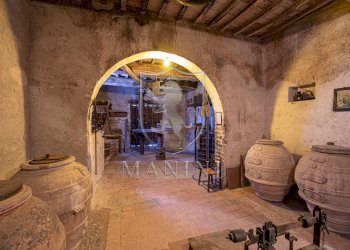 Rustico Castiglione del Lago - foto 13