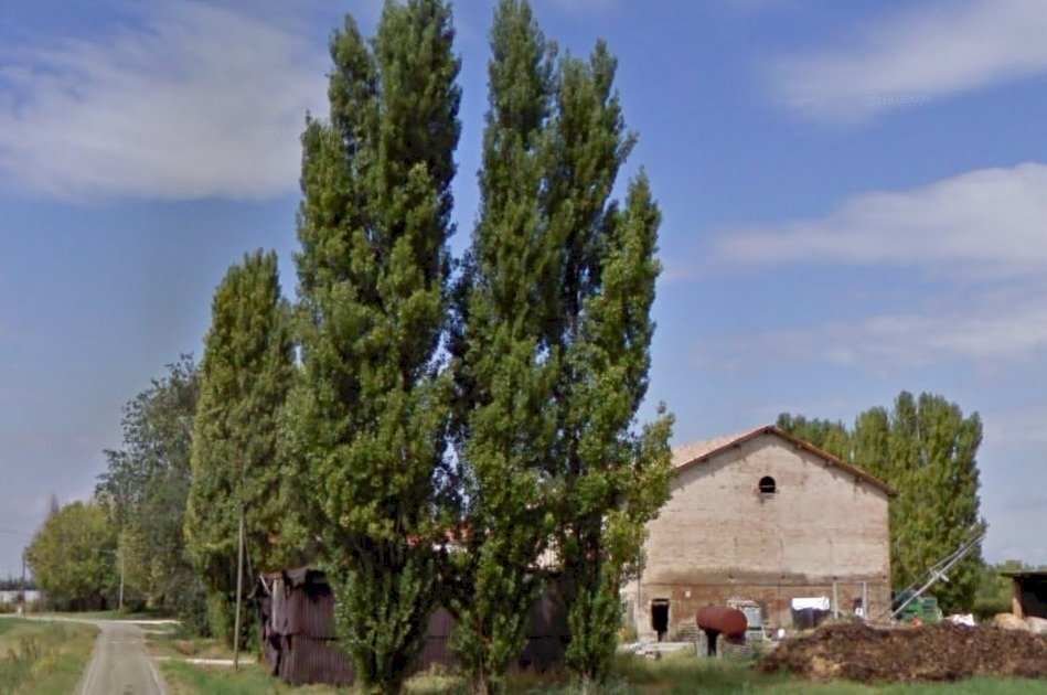 facciata - Rustico Reggio nell'Emilia - foto 3