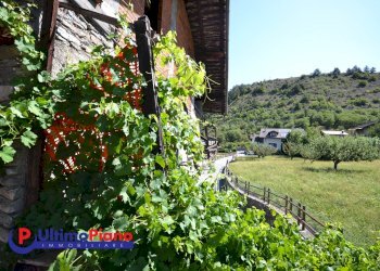 Rustico frazione Hopital 15, 15, Gressan - foto 13