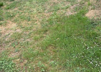 Giardino - Casa indipendente via Piane, Azeglio - foto 20