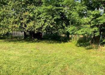 Terreno edificabile Varese - foto 3