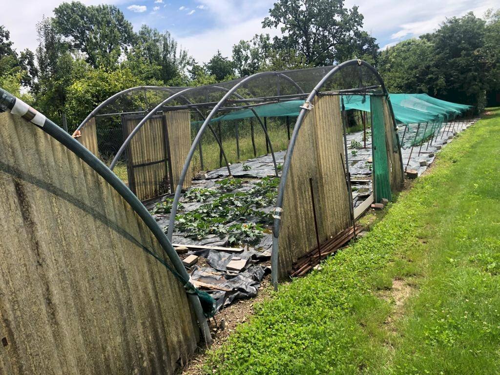 Terreno edificabile Varese - foto 1