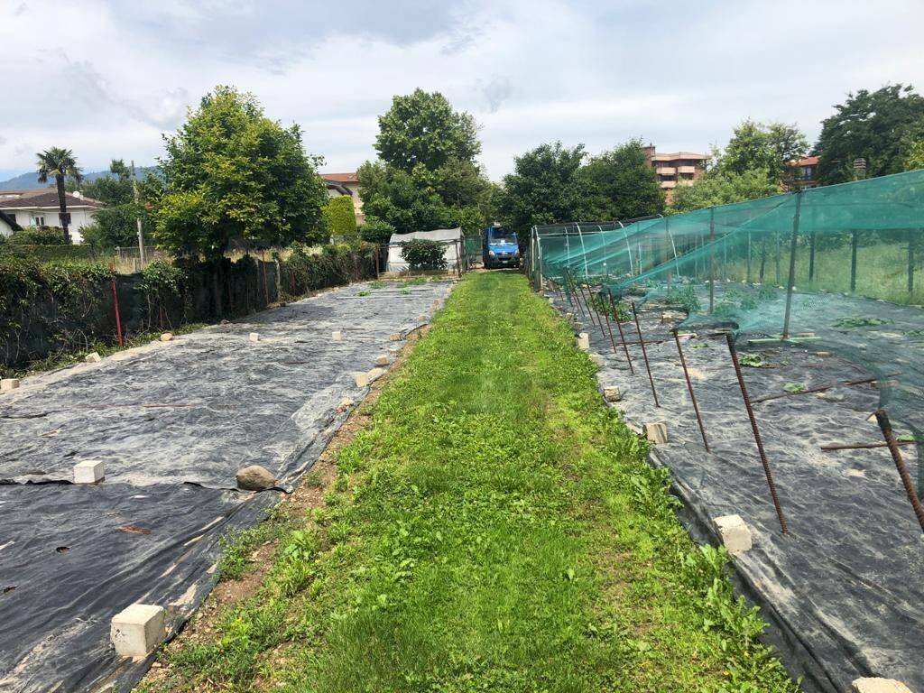 Terreno edificabile Varese - foto 2