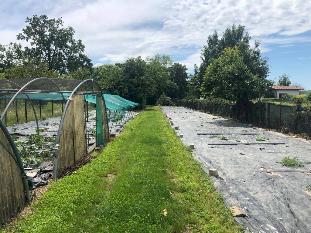 Terreno edificabile Varese - foto 3