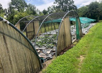 Terreno edificabile Varese - foto 1