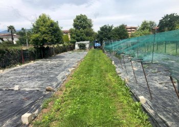 Terreno edificabile Varese - foto 2