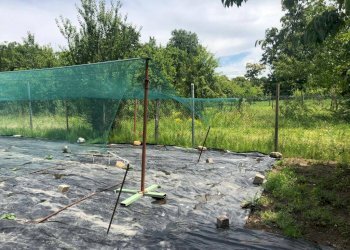 Terreno edificabile Varese - foto 4