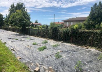 Terreno edificabile Varese - foto 5