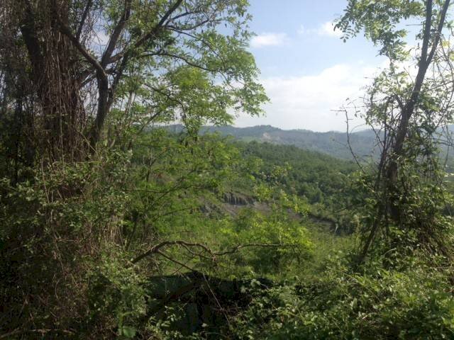 Terreno agricolo via di Casaglia, Bologna (zona Colli) - foto 2