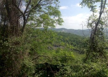 Terreno agricolo via di Casaglia, Bologna (zona Colli) - foto 2