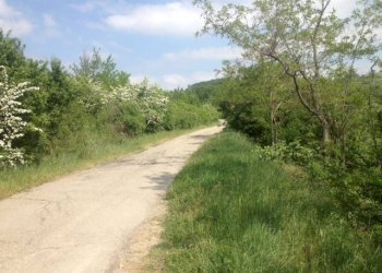 Terreno agricolo via di Casaglia, Bologna (zona Colli) - foto 3
