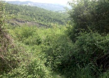 Terreno agricolo via di Casaglia, Bologna (zona Colli) - foto 4