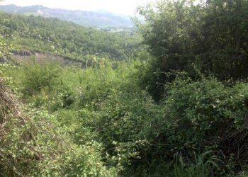 Terreno agricolo via di Casaglia, Bologna (zona Colli) - foto 5