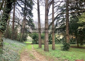 PARCO - Villa Brescia - foto 27