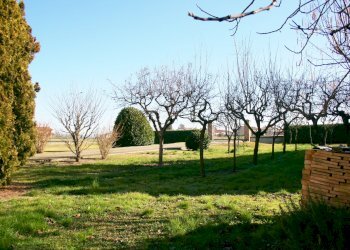 Apartment Albinea - photo 3