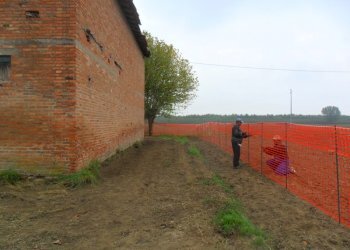 Rustico Sant'Agata sul Santerno - foto 5