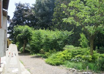 Villa Unifamiliare Savignano sul Panaro - foto 8