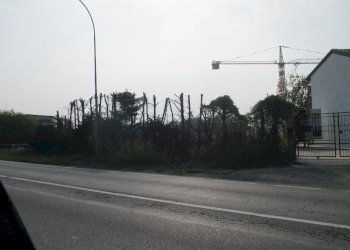 Terreno edificabile Castel San Giovanni - foto 1