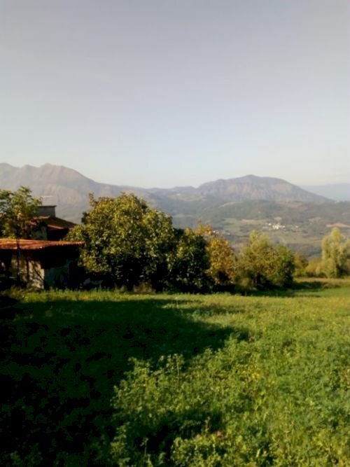 Rustic Bettola - photo 2