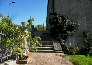 Rustic Travo - photo 3