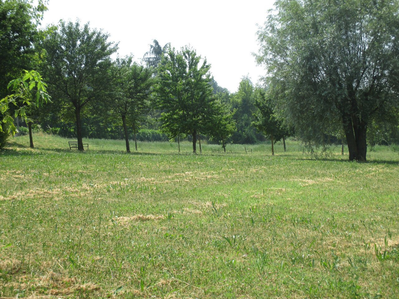 Building land Rivergaro - photo 1