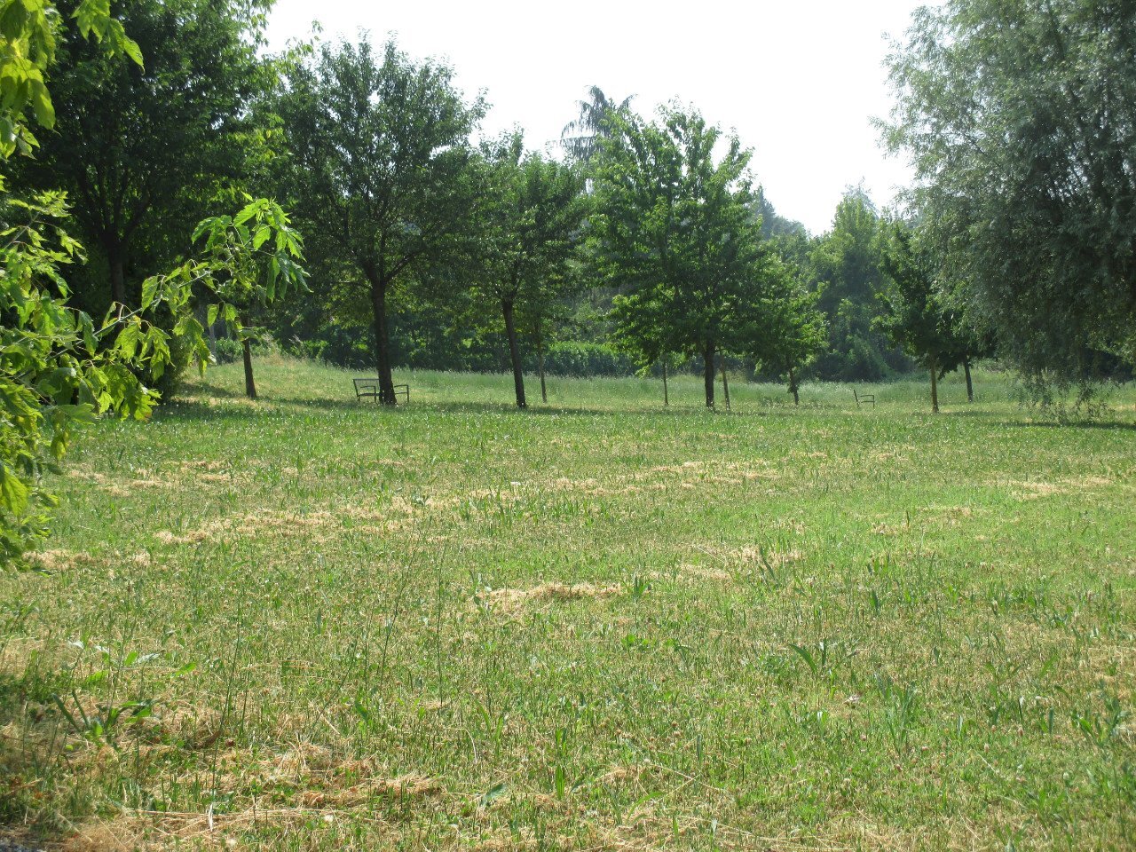 Building land Rivergaro - photo 2