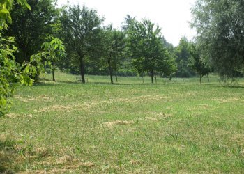 Terreno edificabile Rivergaro - foto 2