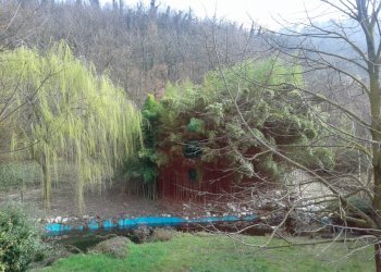 Villa Unifamiliare Rivergaro - foto 6