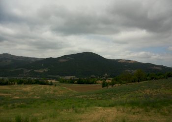 Rustic Rivergaro - photo 17