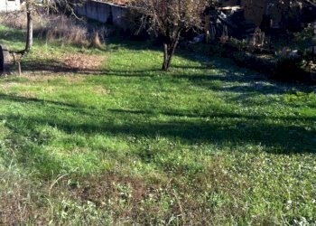 Rustico Coli - foto 4