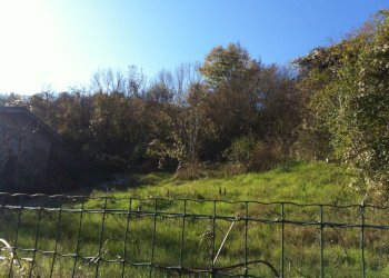 Rustico Coli - foto 8