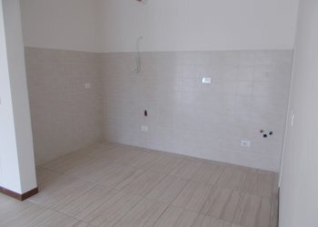 Stable - Palace Reggio nell'Emilia - photo 6