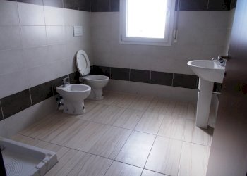 Stable - Palace Reggio nell'Emilia - photo 7