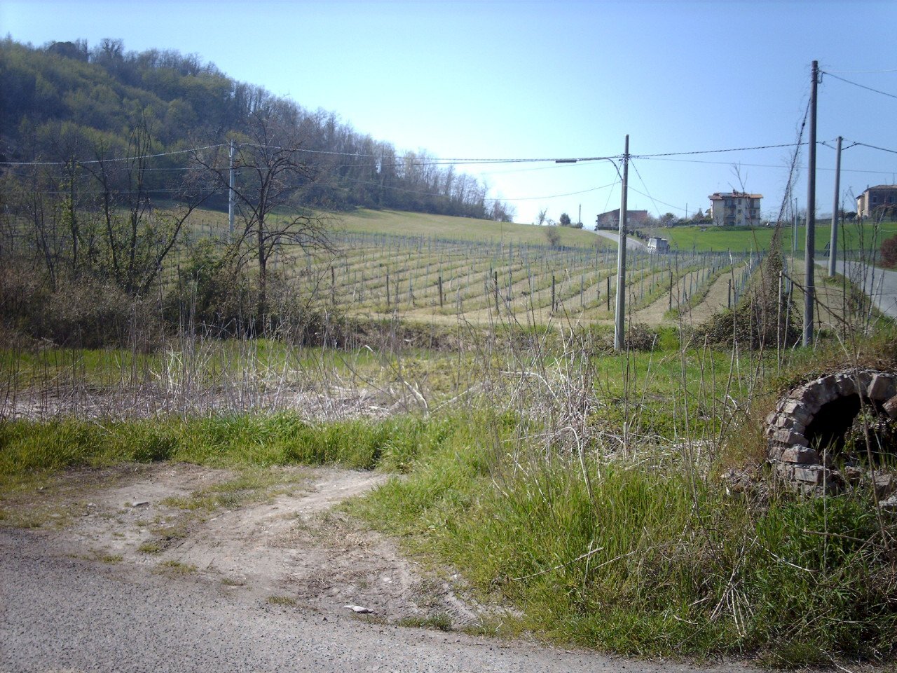 Terreno edificabile Vigolzone - foto 1