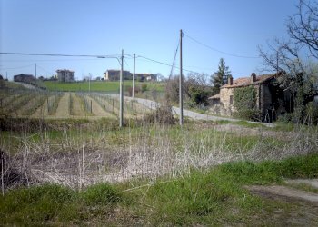 Terreno edificabile Vigolzone - foto 2