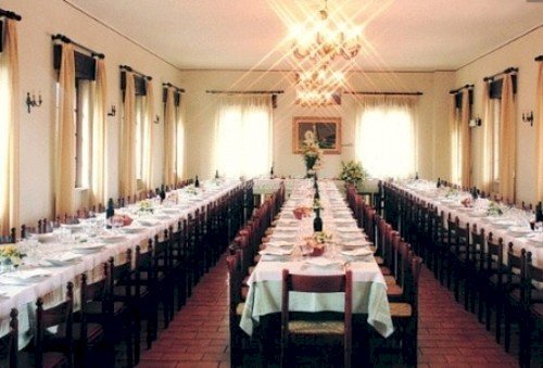 Pizzeria Vigolzone - photo 3