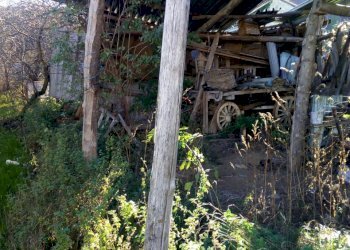 Rustico Ponte dell'Olio - foto 7