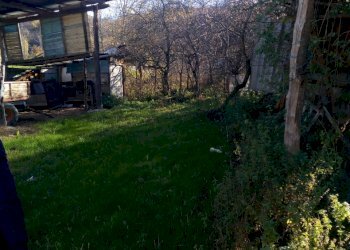 Rustico Ponte dell'Olio - foto 8