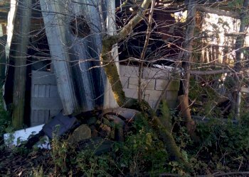 Rustico Ponte dell'Olio - foto 12