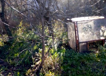 Rustico Ponte dell'Olio - foto 17