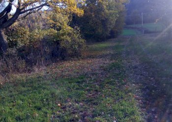 Rustico Ponte dell'Olio - foto 18